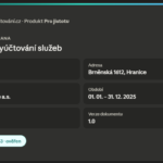 Vývoj aplikací s AI.